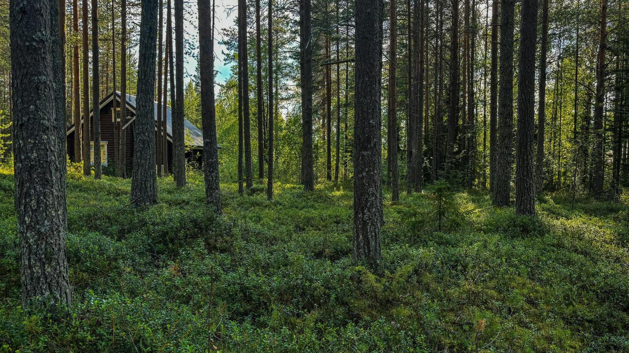 Sky Lodging ~ Sleeping Under The Stars Rovaniemi Exterior photo