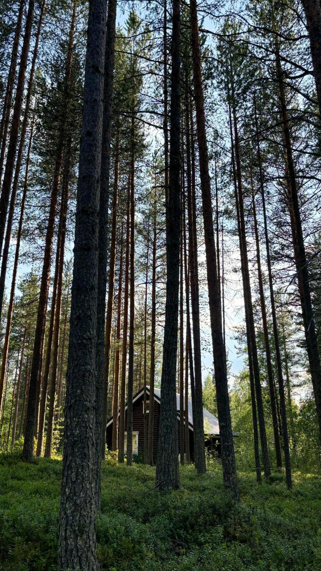 Sky Lodging ~ Sleeping Under The Stars Rovaniemi Exterior photo