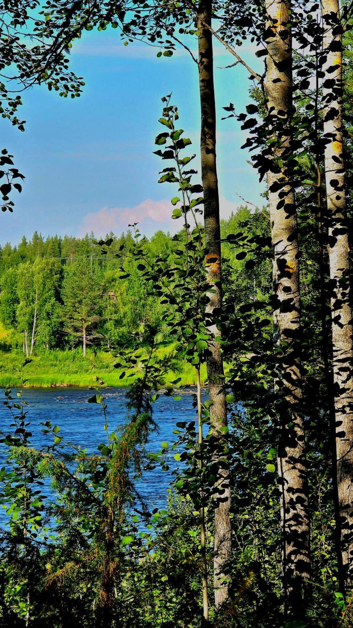 Sky Lodging ~ Sleeping Under The Stars Rovaniemi Exterior photo