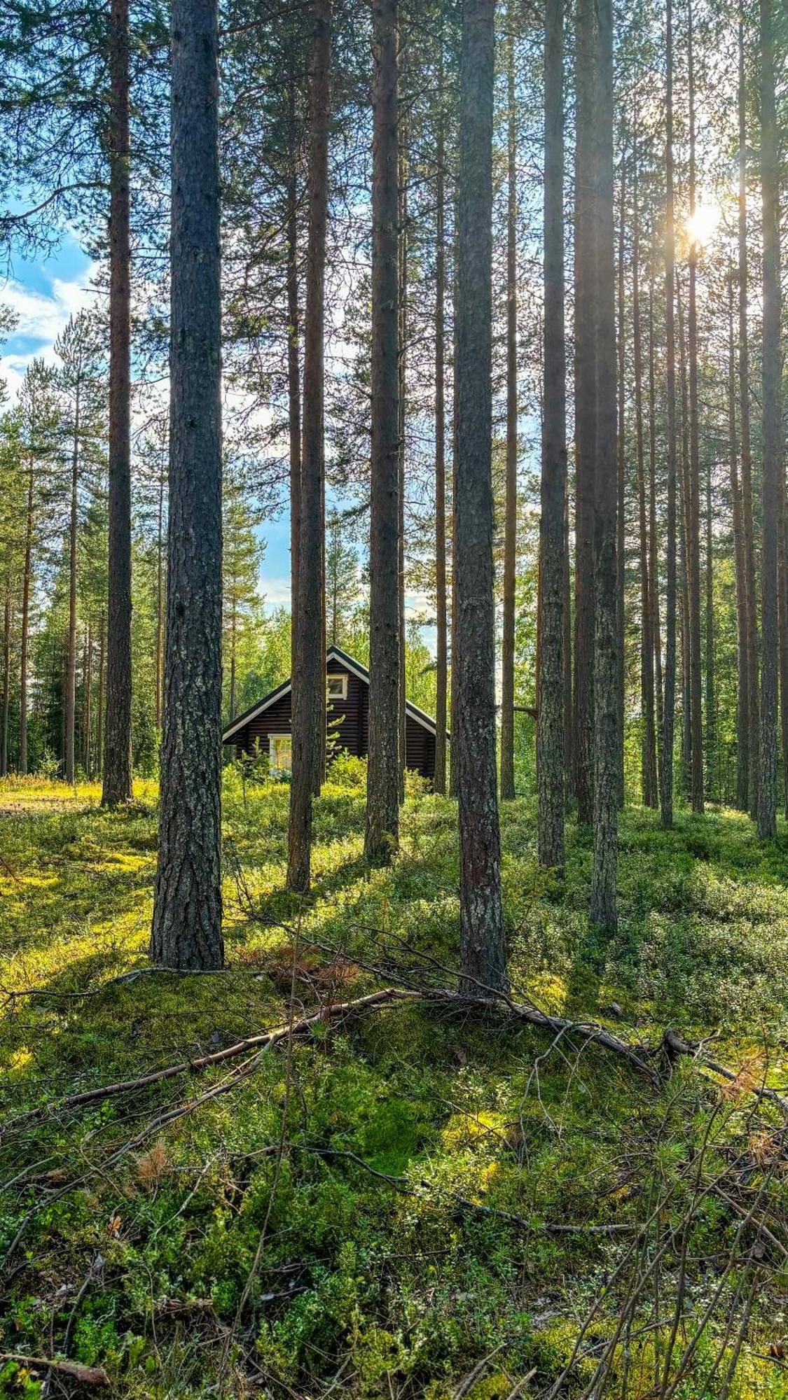 Sky Lodging ~ Sleeping Under The Stars Rovaniemi Exterior photo