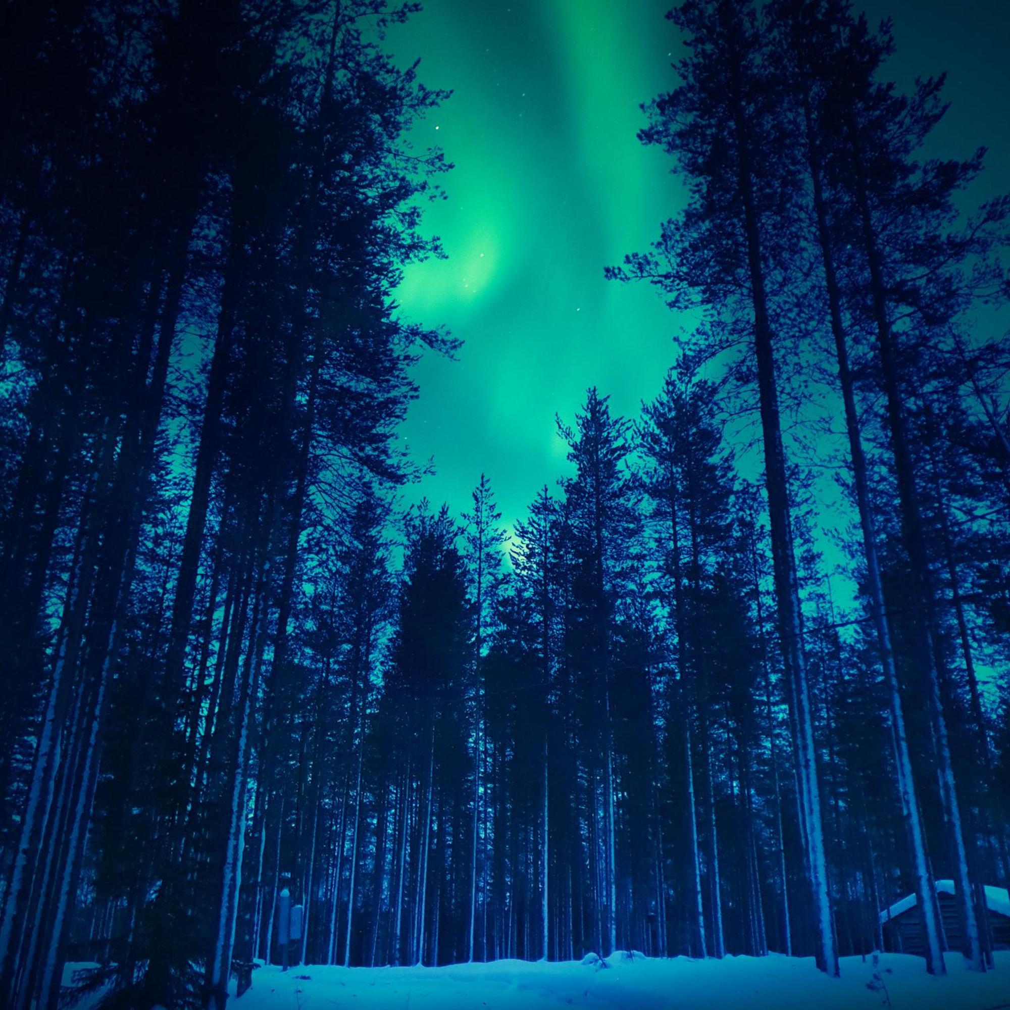 Sky Lodging ~ Sleeping Under The Stars Rovaniemi Exterior photo